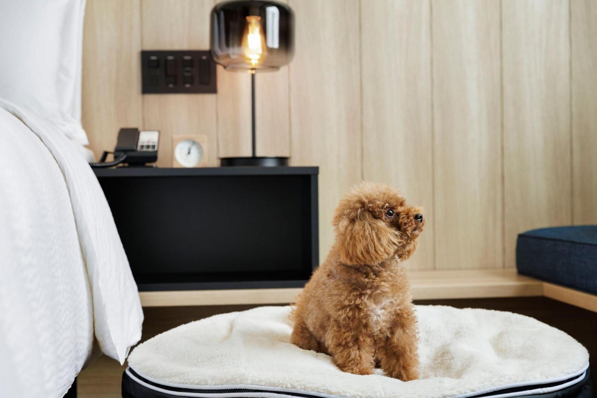 Отель Fairfield By Marriott Kyoto Minamiyamashiro Экстерьер фото